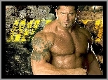 Wrestler, Wrestling, Batista, Dave Bautista, WWE, Aktor